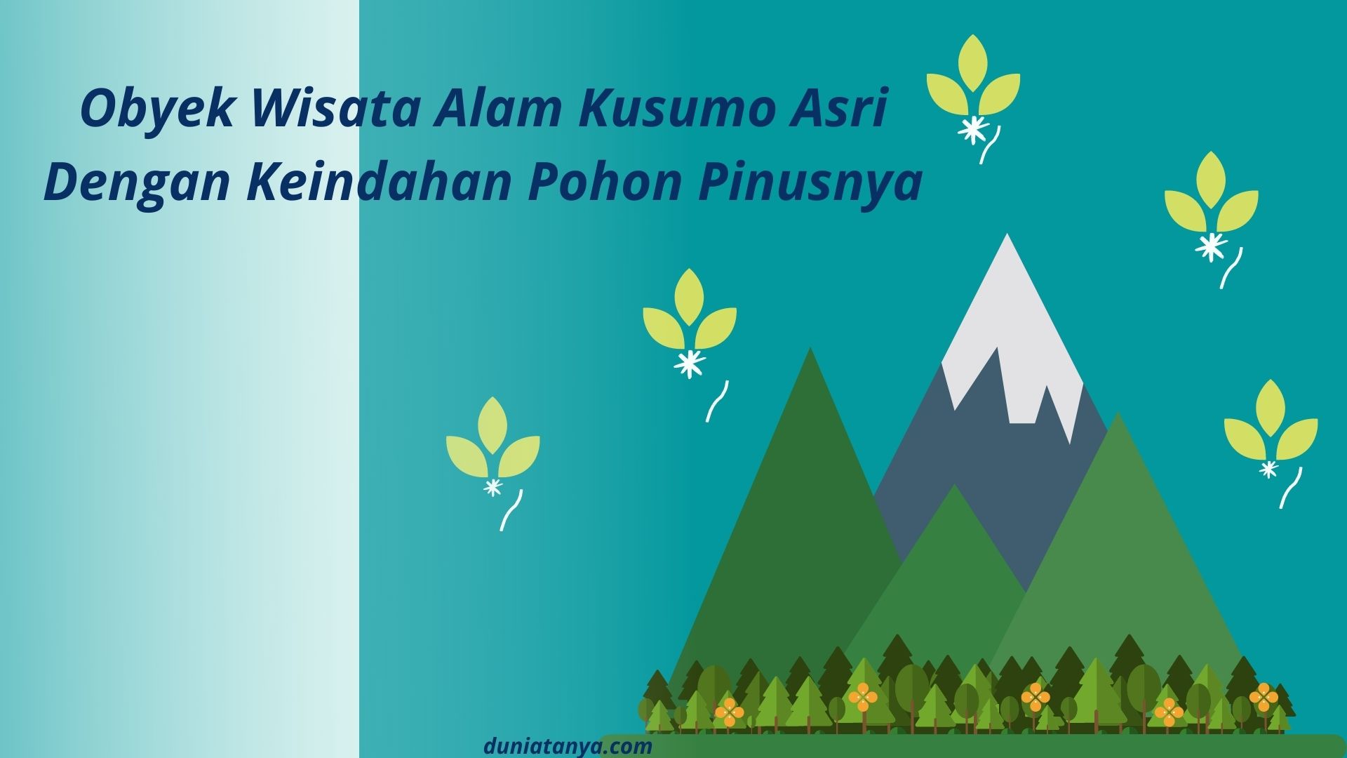 Read more about the article Obyek Wisata Alam Kusumo Asri,Dengan Keindahan Pohon Pinusnya