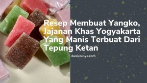 Read more about the article Resep Membuat Yangko,Jajanan Khas Yogyakarta Yang Manis Terbuat Dari Tepung Ketan