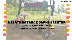 Read more about the article Wisata Batang Dolphin Center,Wisata Menarik Untuk Melihat Atraksi Lumba-Lumba