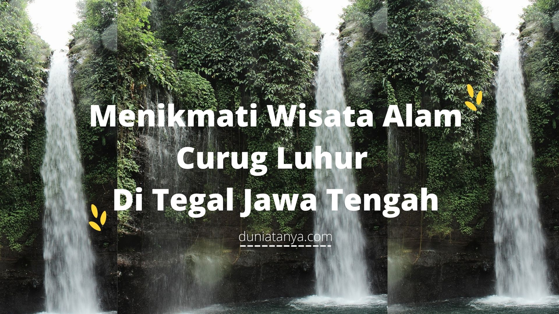 You are currently viewing Menikmati Wisata Alam Curug Luhur Di Tegal Jawa Tengah