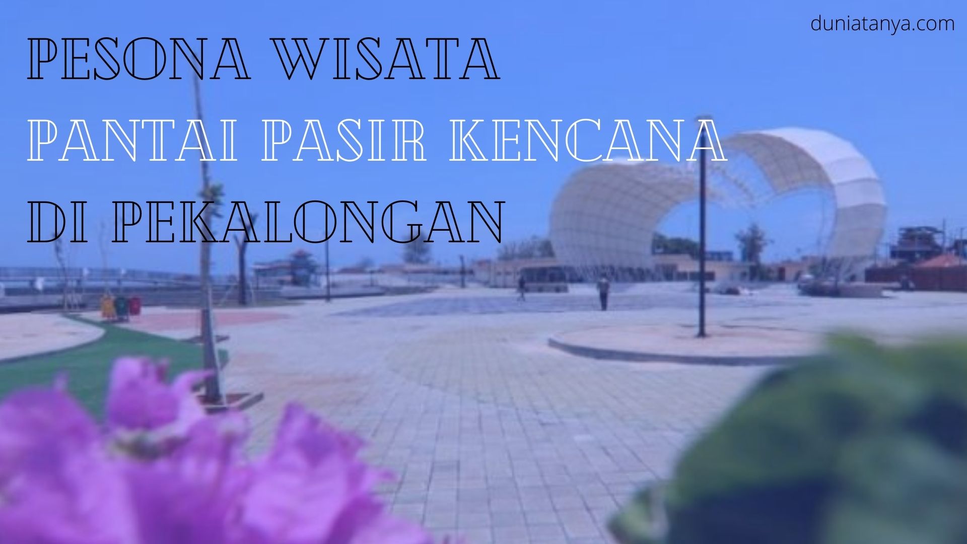 You are currently viewing Pesona Wisata Pantai Pasir Kencana Di Pekalongan