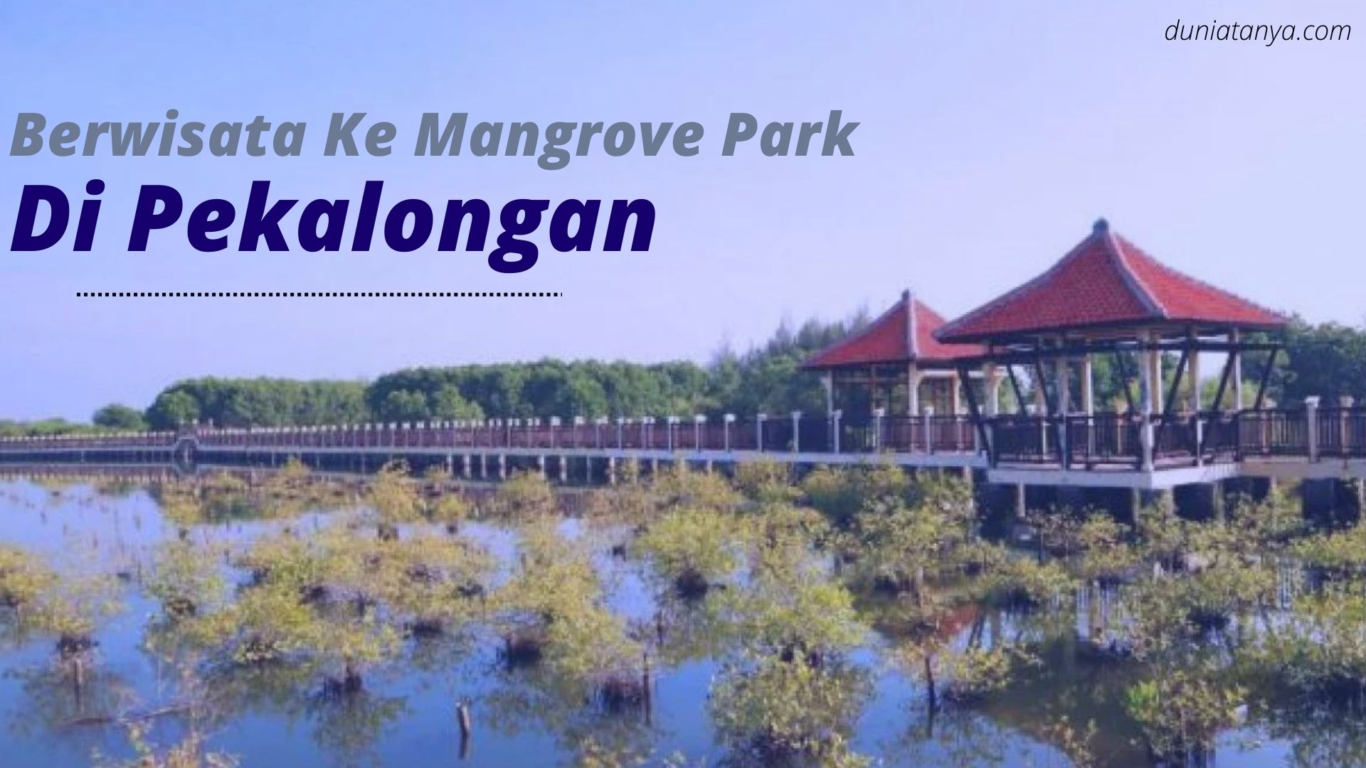 You are currently viewing Berwisata Ke Mangrove Park Di Pekalongan