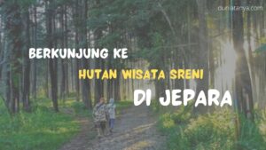 Read more about the article Berkunjung Ke Hutan Wisata Sreni Di Jepara
