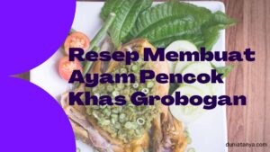 Read more about the article Resep Membuat Ayam Pencok Khas Grobogan
